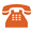 COIB Phone